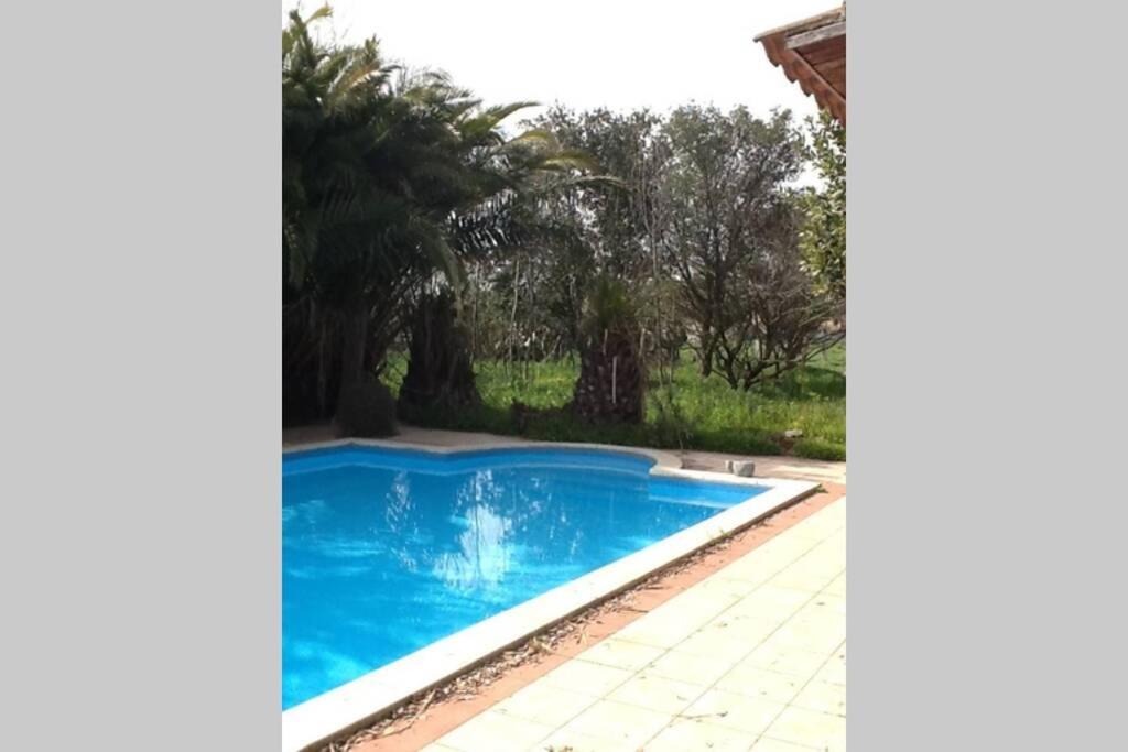 Big Relax Apartment With Swimming Pool And A Peaceful Garden In A Private Villa Sestu Exterior foto
